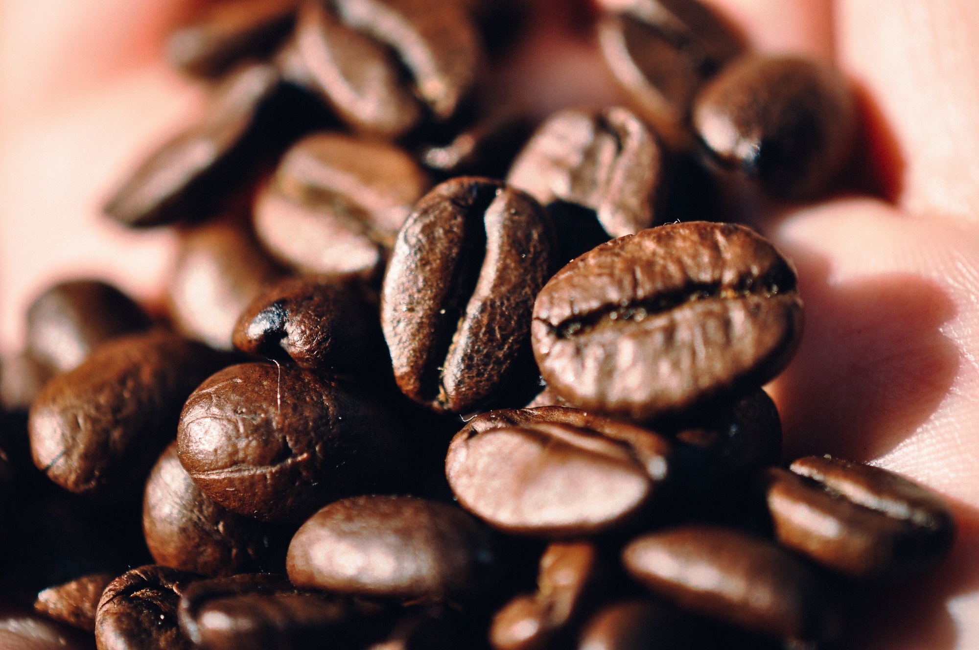 Coffe beans